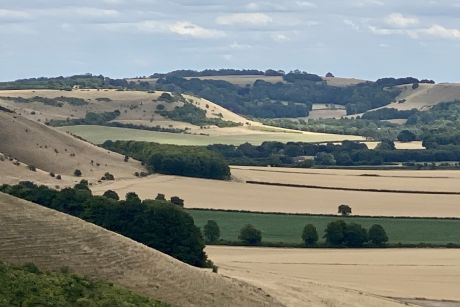 Guided Walk - Pewsey Vale