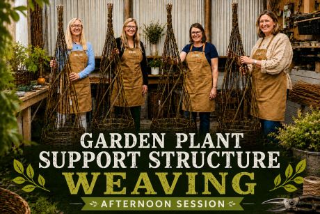 Traditional Garden Plant Support Structure - Afternoon